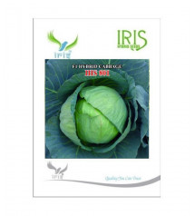 Cabbage / Patta Gobi F1 Iris IHS-801 10 grams